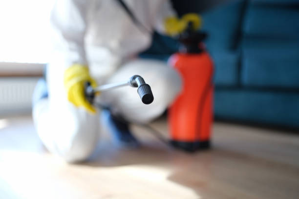 Reliable White Bluff, TN Mold Inspection, Removal & Remediation Solutions